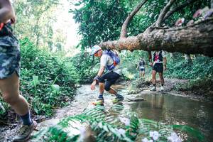 BIB: 
                            <button type="button" onclick="openModal(25442071)" class="btn btn-primary btn-sm float-right btn-popup" data-toggle="modal" data-target=".modal-high-quality">
                        <i class="fas fa-shopping-cart"></i> Add to Cart
                    </button>
                                            <button type="button" onclick="isThisMe(25442071, true)" class="btn btn-success btn-sm float-right btn-popup btn-isme hidden" data-toggle="tooltip" data-placement="bottom" title="นี่คือรูปของคุณใช่ไหม คลิกที่นี่เพื่อเอาเข้าอัลบั้ม">
                        <i class="fas fa-plus"></i> Add to album
                    </button>
                    <button type="button" onclick="isThisMe(25442071, false)" class="btn btn-warning btn-sm float-right btn-popup btn-isnotme hidden">
                        <i class="fas fa-ban"></i> Remove from album
                    </button>